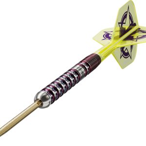 Target Luke Littler World Champion 2025 Edition SP 23G