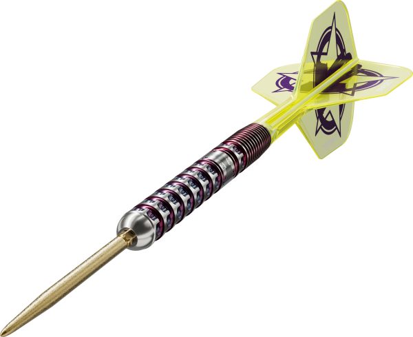 Target Luke Littler World Champion 2025 Edition SP 23G