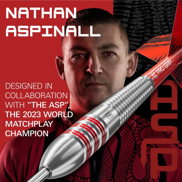 Nathan Aspinall Brass 22G Steel Tip